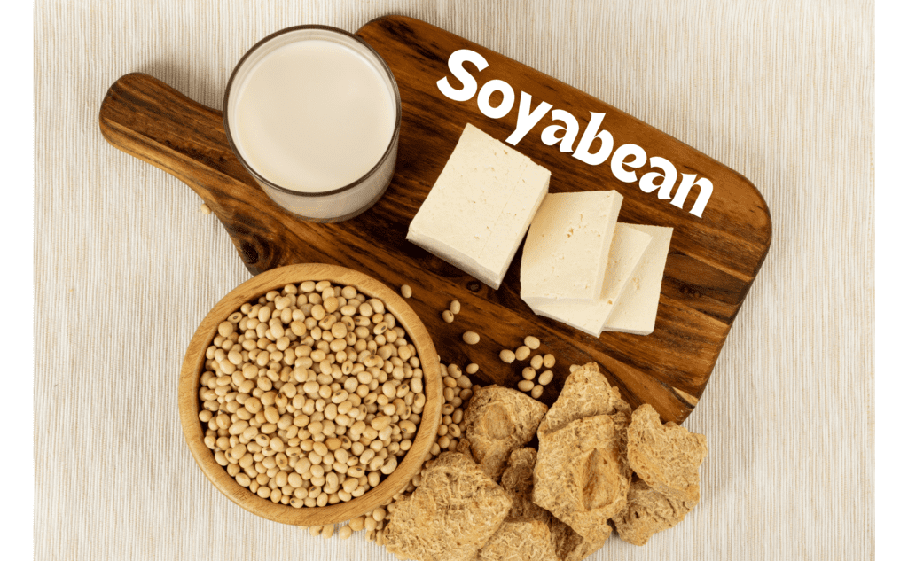 "soyabean"