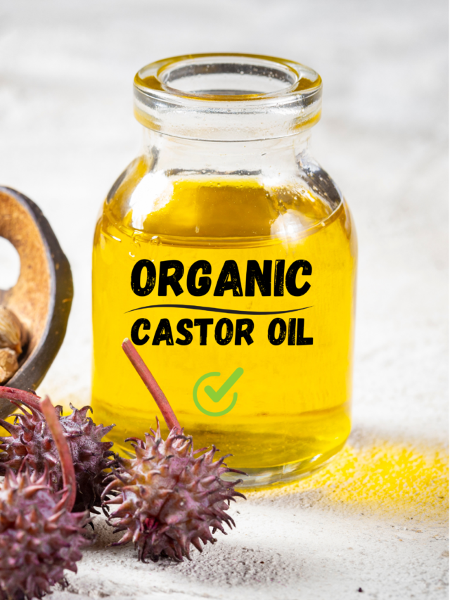 Organic Castor Oil Ultimate Health Benefits